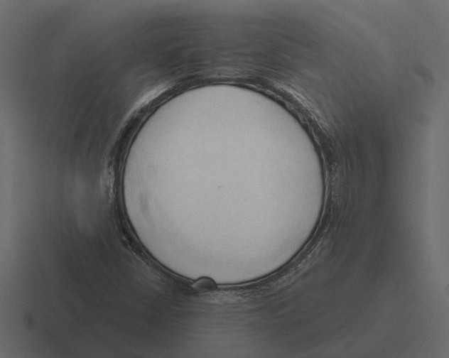 X0000116321402200912291524