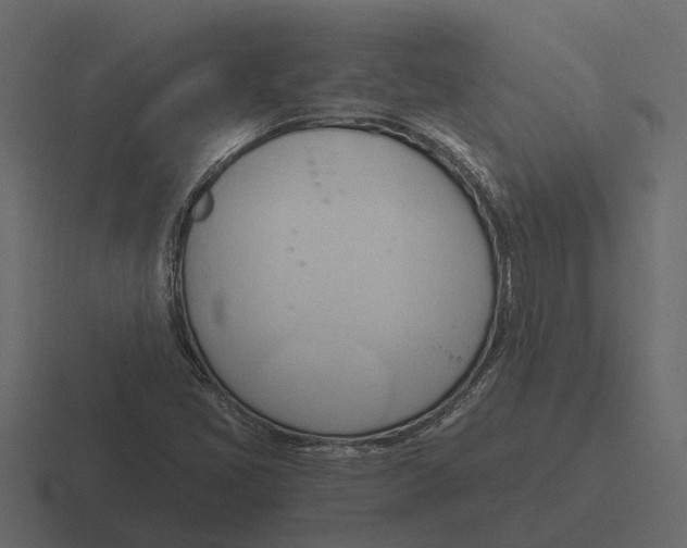 X0000116321405200912291524