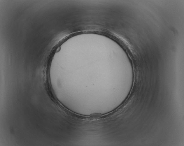 X0000116321407200912291524