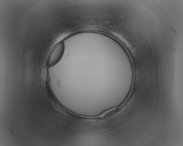 X0000116321413200912291524