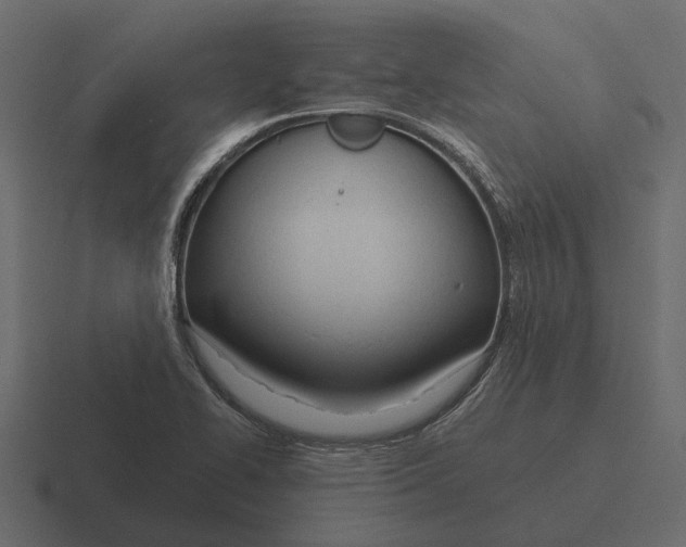 X0000116321414200912291524