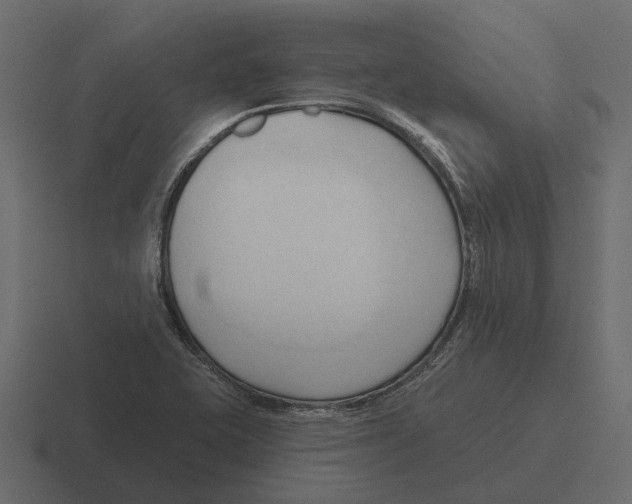 X0000116321415200912291524