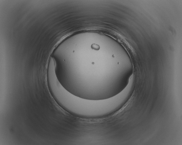 X0000116321417200912291524