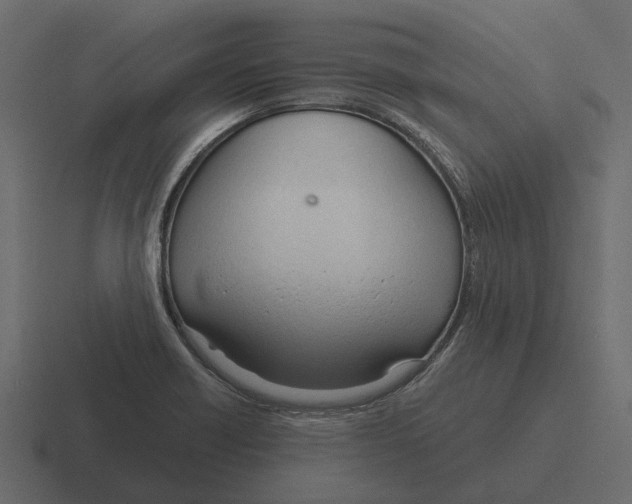 X0000116321418200912291524