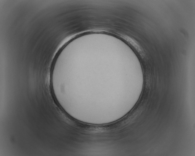 X0000116321420200912291524