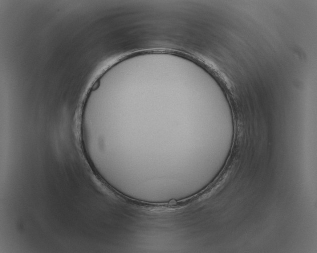 X0000116321421200912291524