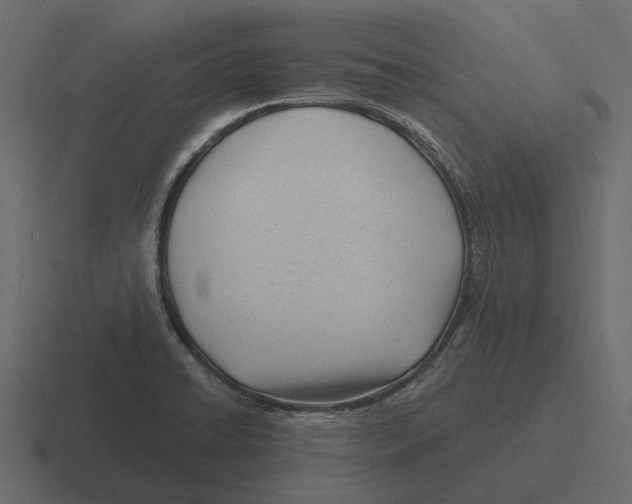 X0000116321422200912291524