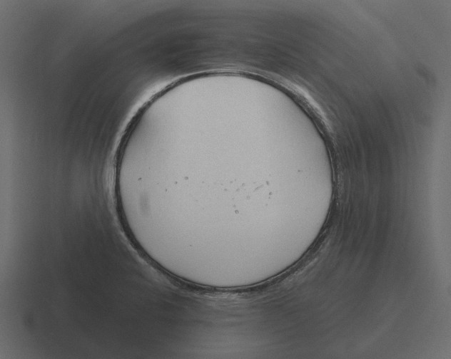 X0000116321424200912291524