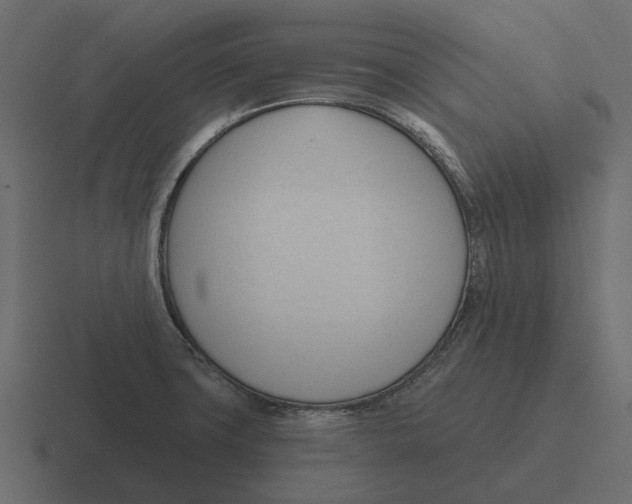 X0000116321427200912291524