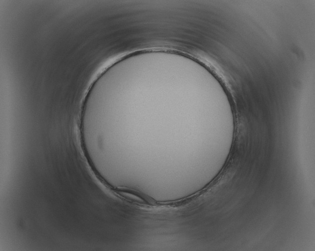 X0000116321429200912291524