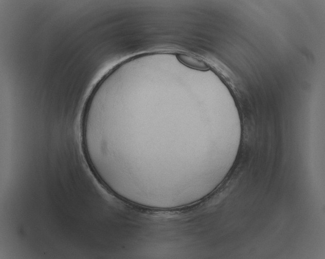 X0000116321430200912291524