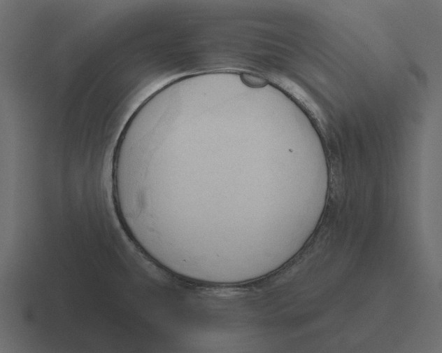 X0000116321431200912291525