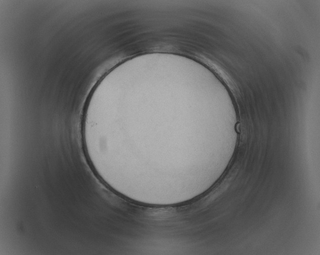 X0000116321434200912291525