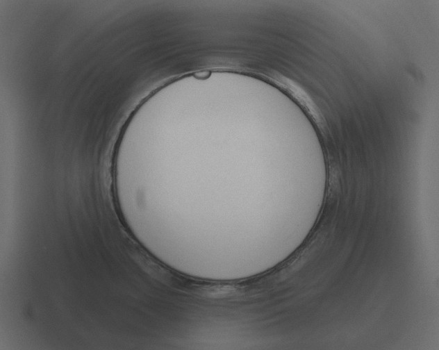 X0000116321435200912291525