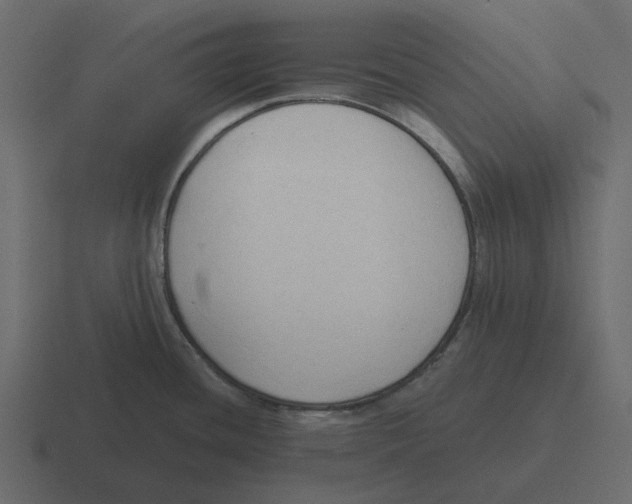 X0000116321436200912291525