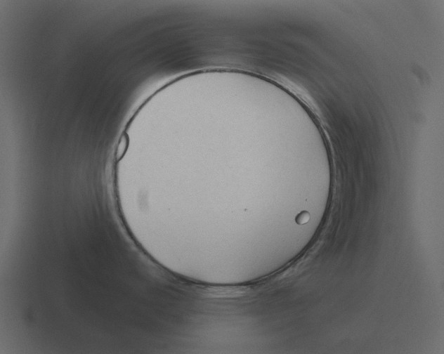 X0000116321440200912291525