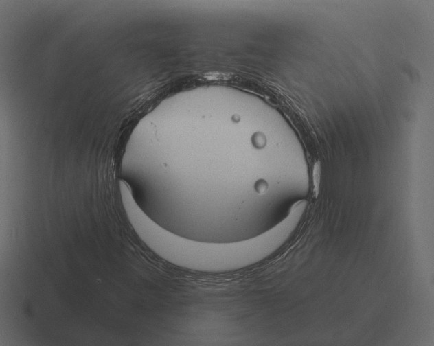 X0000116321443200912291524