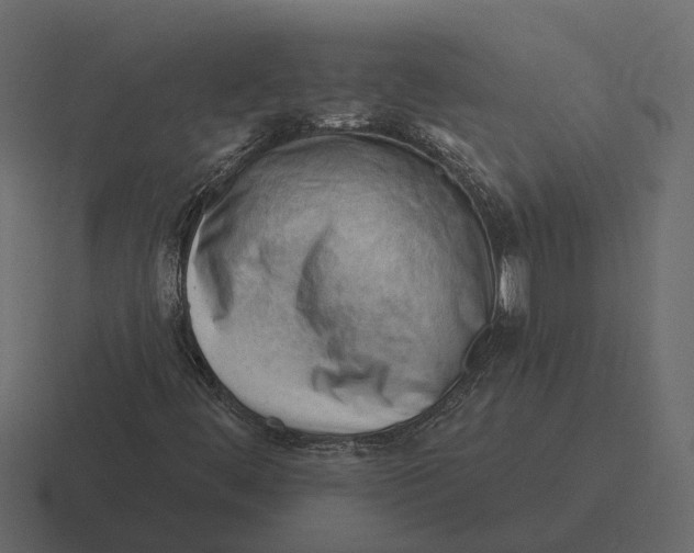 X0000116321444200912291524