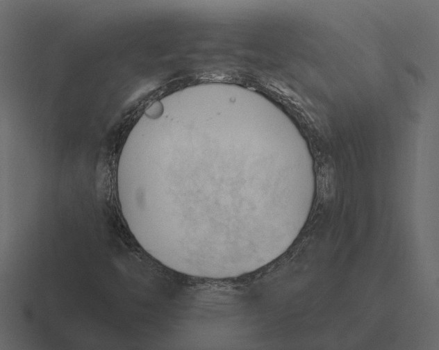 X0000116321446200912291524