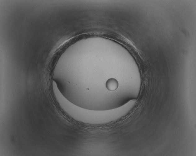 X0000116321448200912291524