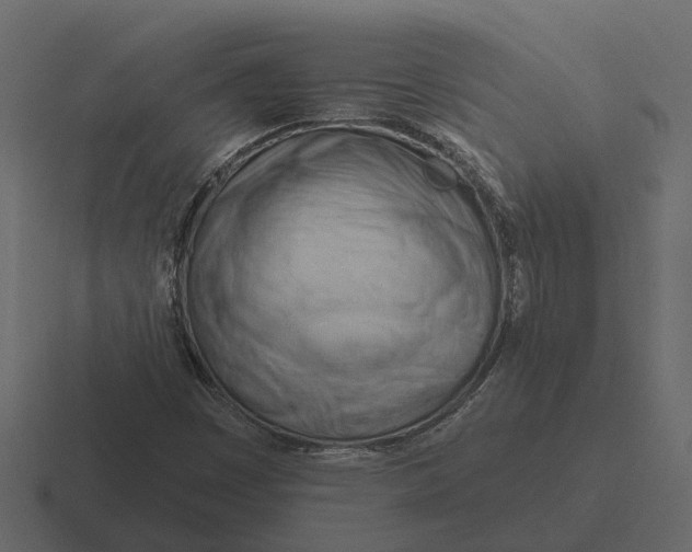 X0000116321449200912291524