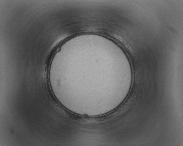 X0000116321450200912291524