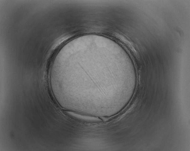 X0000116321453200912291524