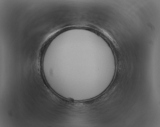 X0000116321456200912291524