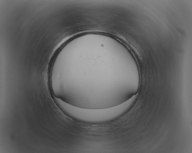 X0000116321460200912291524