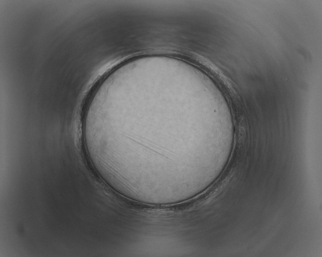 X0000116321461200912291524