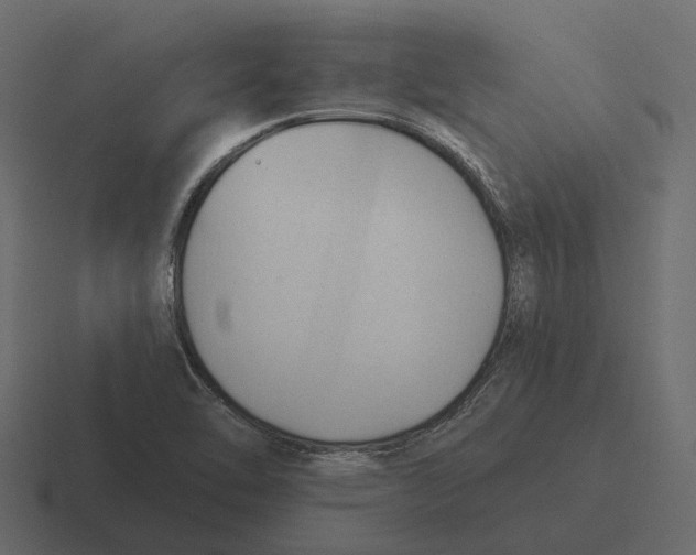 X0000116321462200912291524