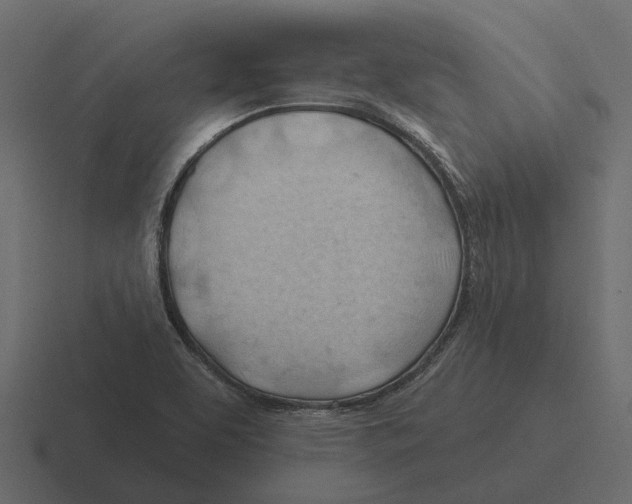 X0000116321463200912291524