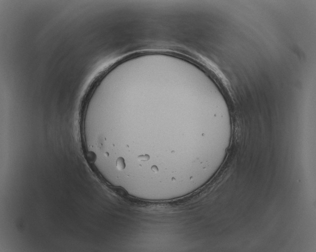 X0000116321464200912291524