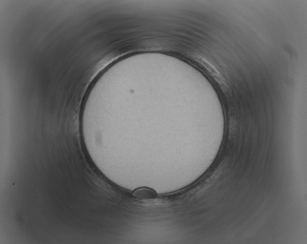 X0000116321465200912291524