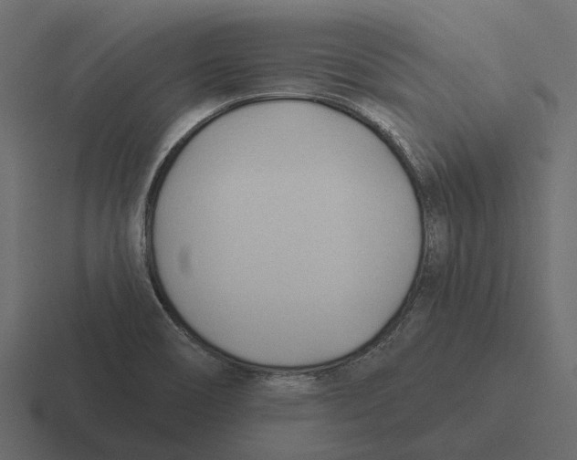 X0000116321466200912291524