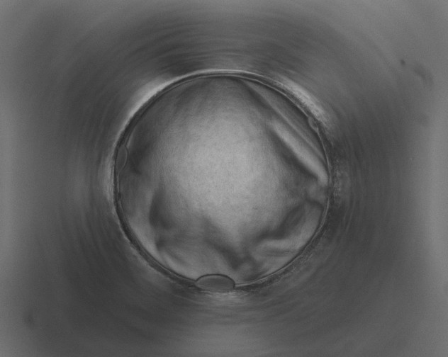 X0000116321468200912291524