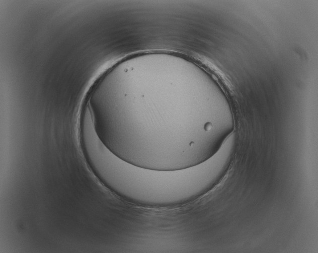 X0000116321469200912291524