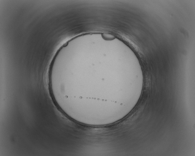 X0000116321471200912291524