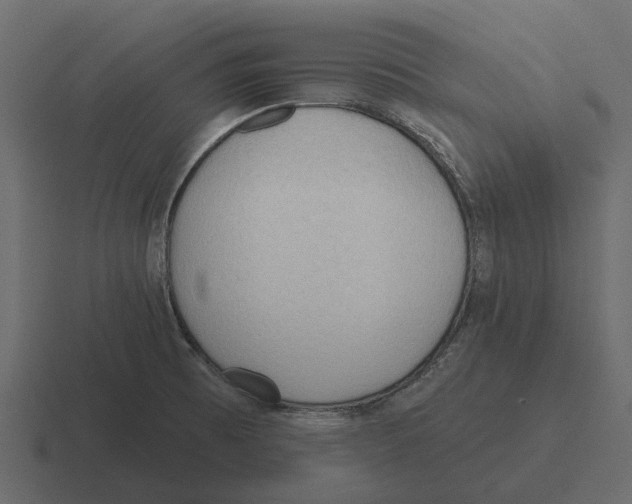 X0000116321473200912291524