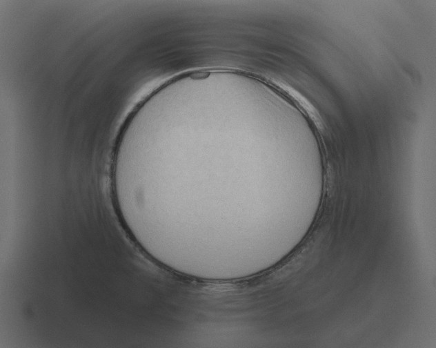 X0000116321477200912291524