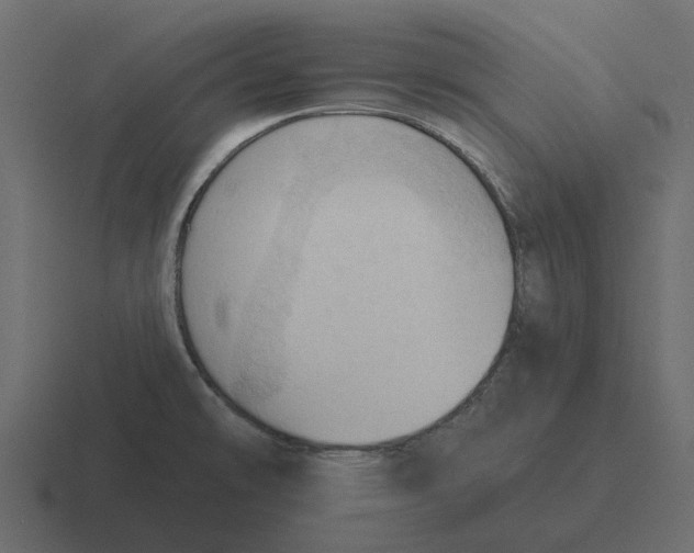 X0000116321478200912291524