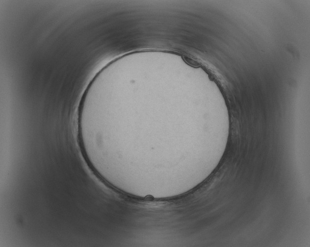 X0000116321479200912291524