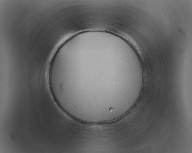 X0000116321480200912291524