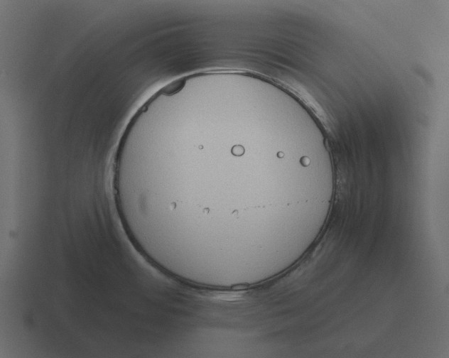 X0000116321484200912291523