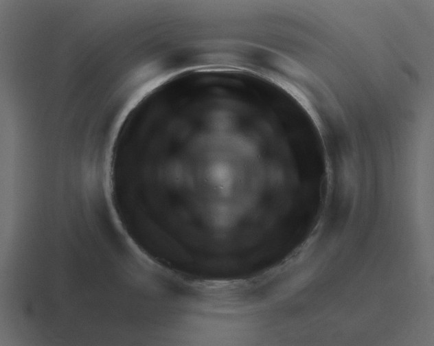 X0000116321485200912291523