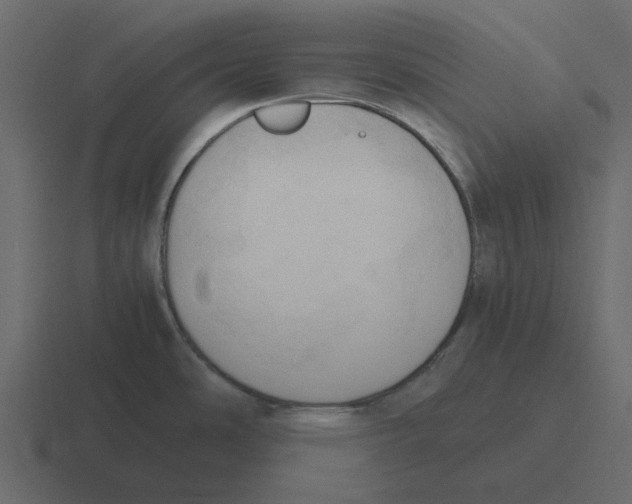 X0000116321486200912291523