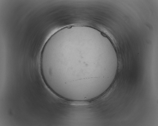 X0000116321487200912291523