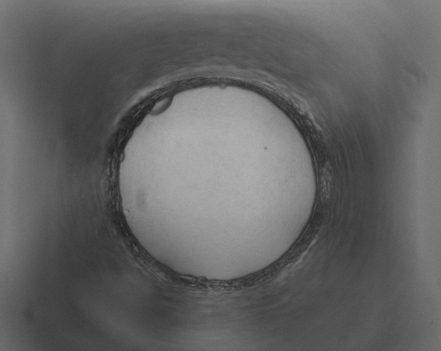 X0000116321494200912291523