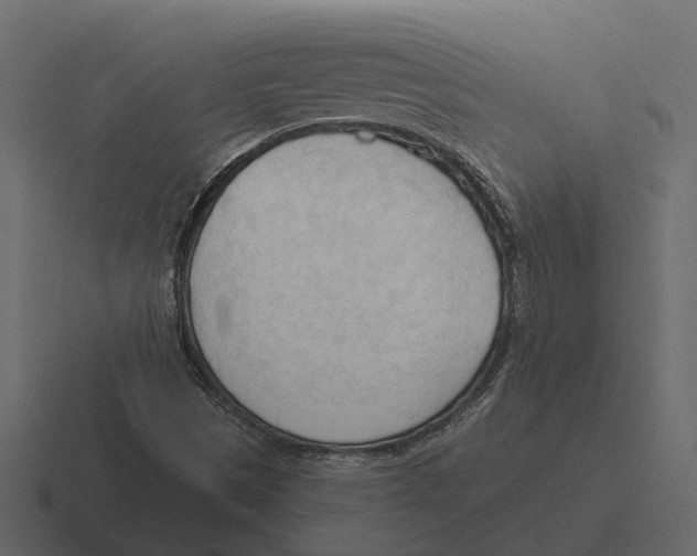 X0000116321497200912291523