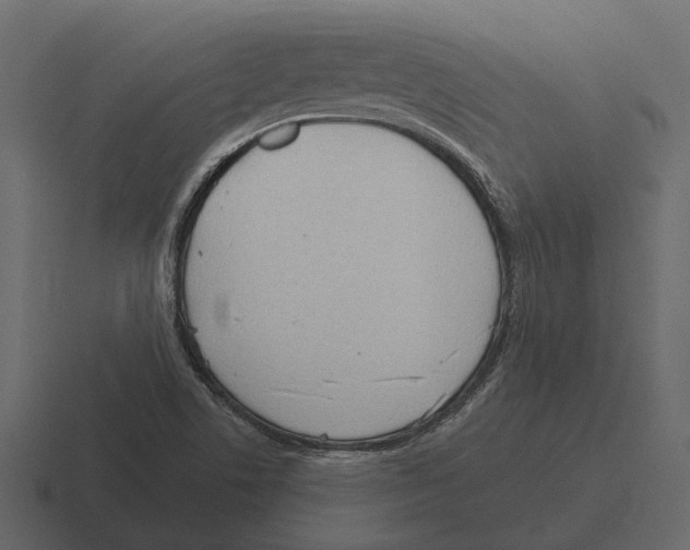 X0000116321506200912291523